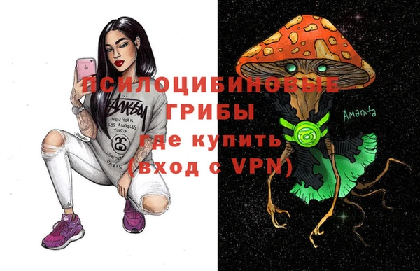 соль ск Волосово