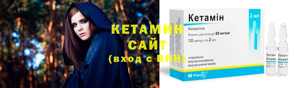 гидра Володарск