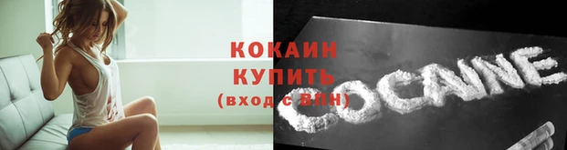 гидра Володарск