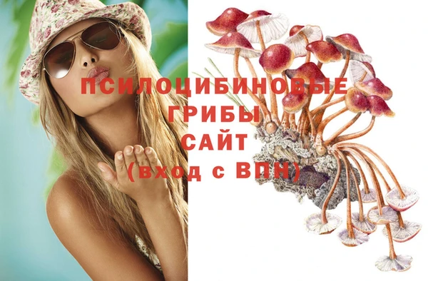 MDMA Premium VHQ Волоколамск